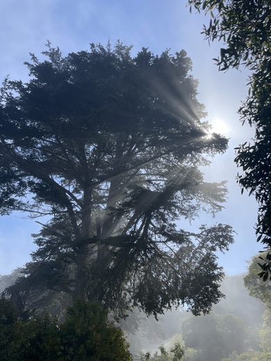 Golden Gate National Recreation Area