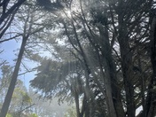 Golden Gate National Recreation Area