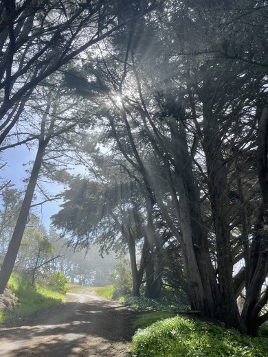 Golden Gate National Recreation Area