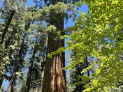 Golden Gate National Park 