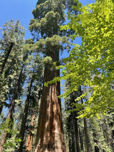 Golden Gate National Park 