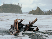 Olympic National Park