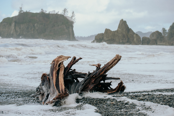 Olympic National Park