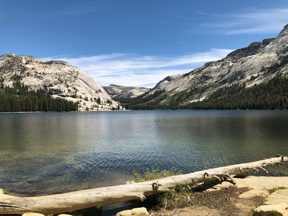 Tioga Lake, Yosemite National Park 