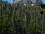 Rocky Mountain National Park