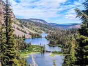 Inyo national forest