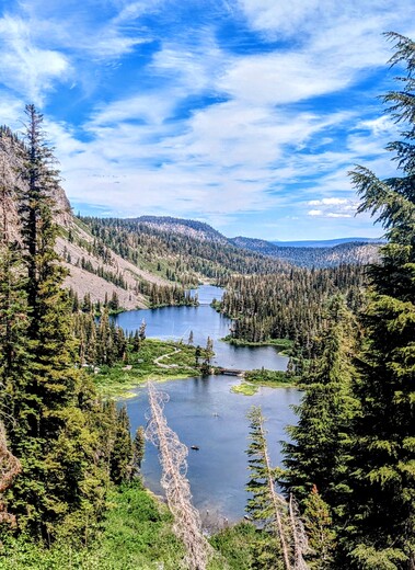 Inyo national forest