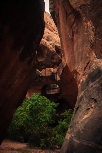 Glen Canyon National Recreation Area