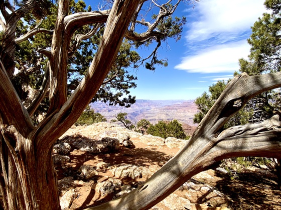 Grand Canyon 