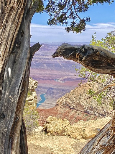 Grand Canyon National Park