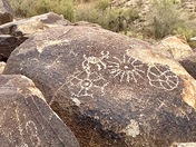 Saguaro National Park