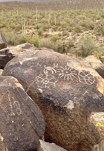 Saguaro National Park