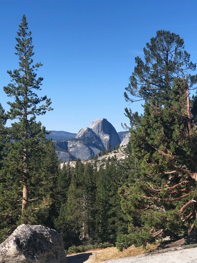 Olmsted Point, Tioga Pass, Yosemite National Park 