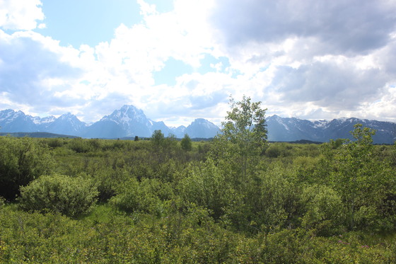 Grand Teton National Park