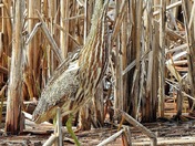 Hobart Lake National Wildlife Refuge 