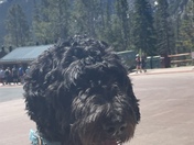 Rocky Mountain National Park