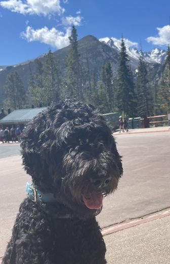 Rocky Mountain National Park