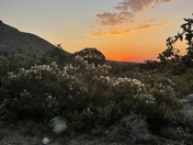 Campground at Guadalupe Mountains N.P. 