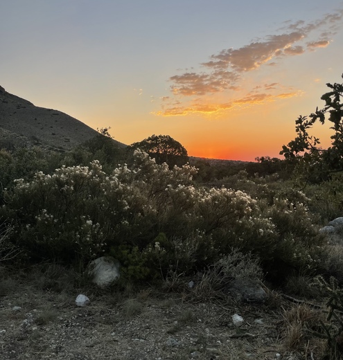 Campground at Guadalupe Mountains N.P. 