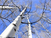 Great Basin National Park 