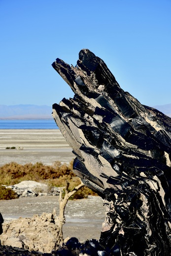 Sonny Bono Salton Sea National Wildlife Refuge