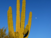 Superstition Wilderness Area