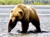 Lake Clark National Park 