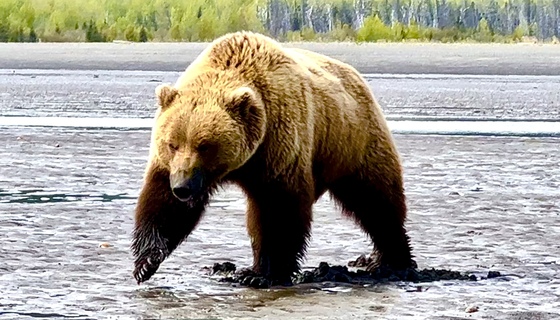 Lake Clark National Park 