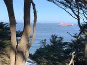 Lands End, Golden Gate National Recreation Area