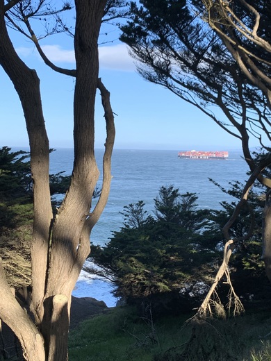 Lands End, Golden Gate National Recreation Area