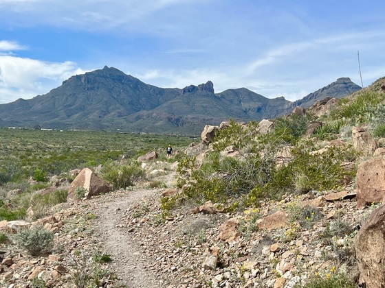 Big Bend National Park