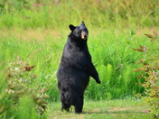 Let`s see, what is around!