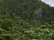 El Yunque National Forest 