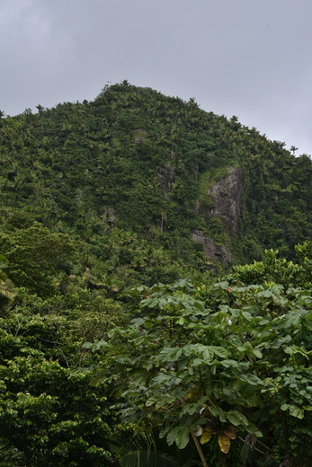 El Yunque National Forest 