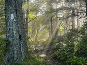 Great Smoky Mountains National Park