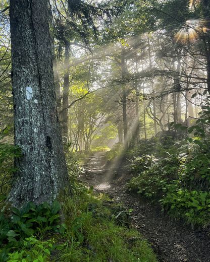 Great Smoky Mountains National Park