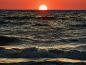 Chincoteague National Wildlife Refuge: Assateague Island, Virginia 