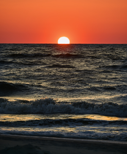 Chincoteague National Wildlife Refuge: Assateague Island, Virginia 