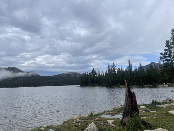 Uinta - Wasatch - Cache National Forest