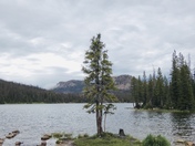Uinta - Wasatch - Cache National Forest