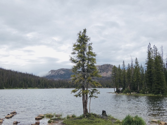 Uinta - Wasatch - Cache National Forest