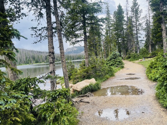 Uinta - Wasatch - Cache National Forest