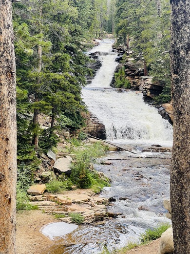 Uinta - Wasatch - Cache National Forest