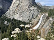 Yosemite  National Park 