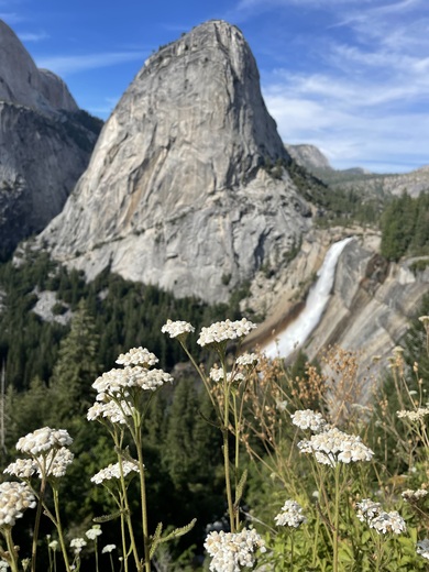 Yosemite  National Park 