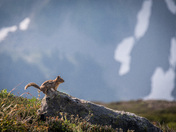 North Cascades National Park