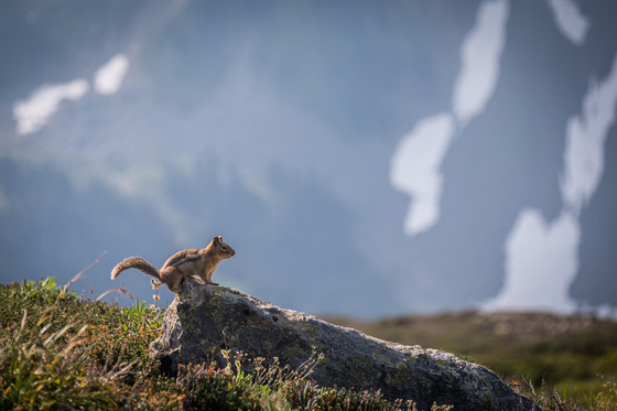 North Cascades National Park
