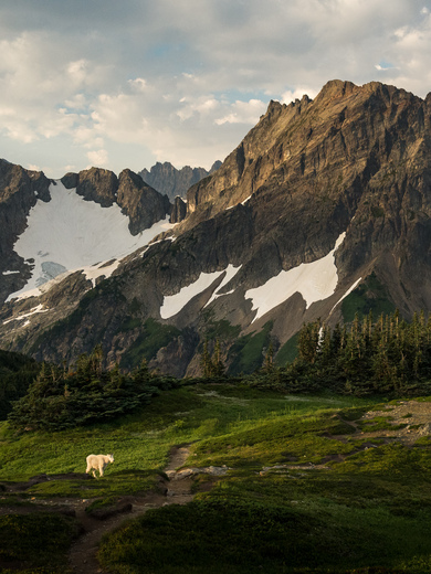 North Cascades National Park