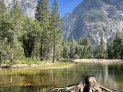Yosemite  National Park 