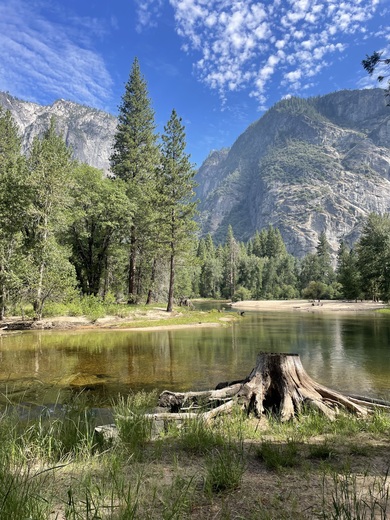 Yosemite  National Park 